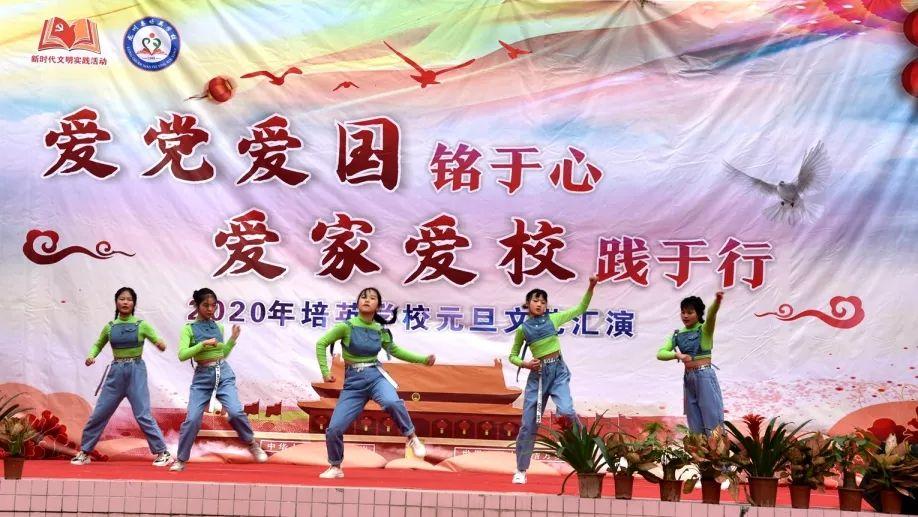 公主的阅读区